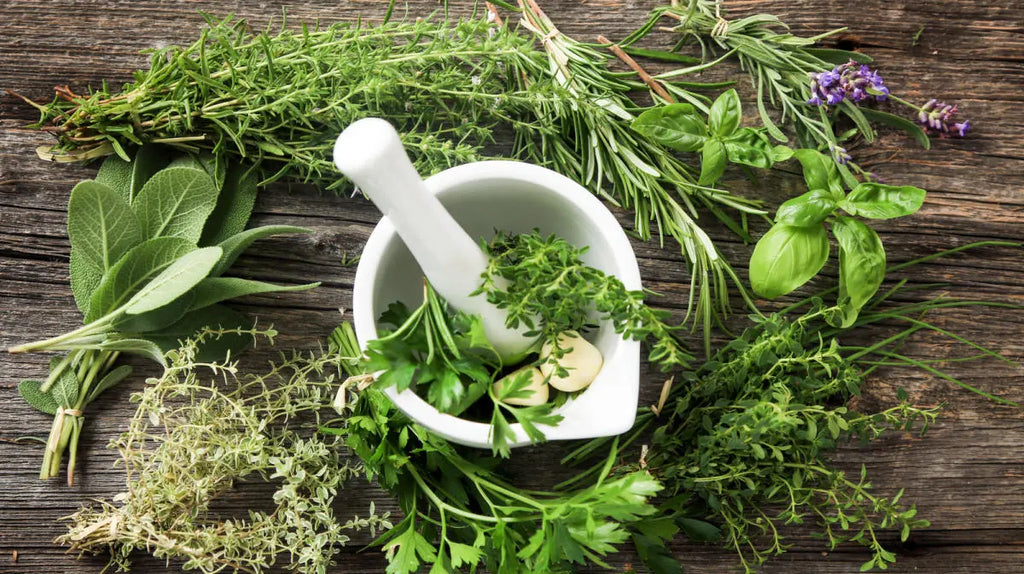 How to Store Fresh Herbs