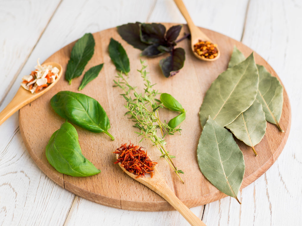 Common Herbs You Need to Know – Basil, Oregano, Thyme, and More