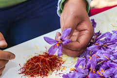 Saffron – The World’s Most Expensive Spice