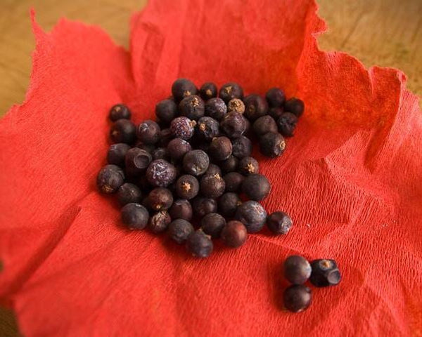 JUNIPER BERRIES SPICE THE SPICE TRADER Tin 