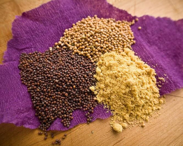 Mustard Yellow SPICE THE SPICE TRADER Whole 