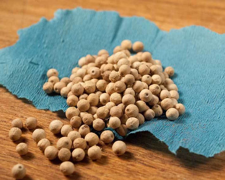 PEPPERCORN - WHITE SPICE THE SPICE TRADER Whole